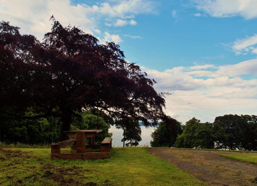 Almond House Lodge - Edinburgh, Edinburgh